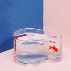 aquarium-fishpool