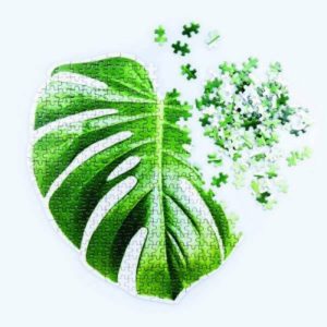 puzzle-casse-tete-monstera