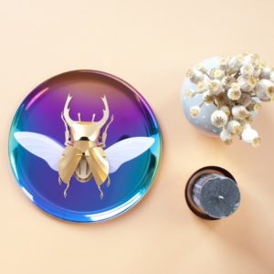stag beetle diy